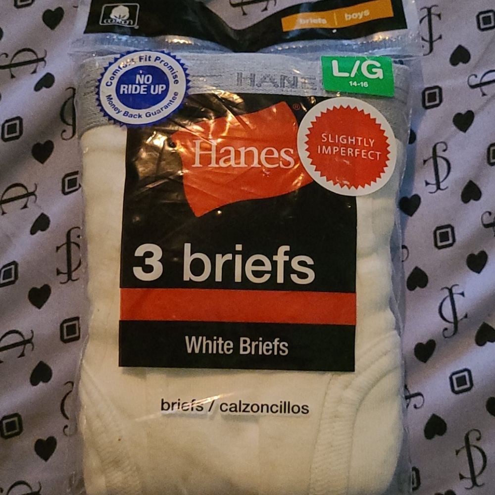 Briefs